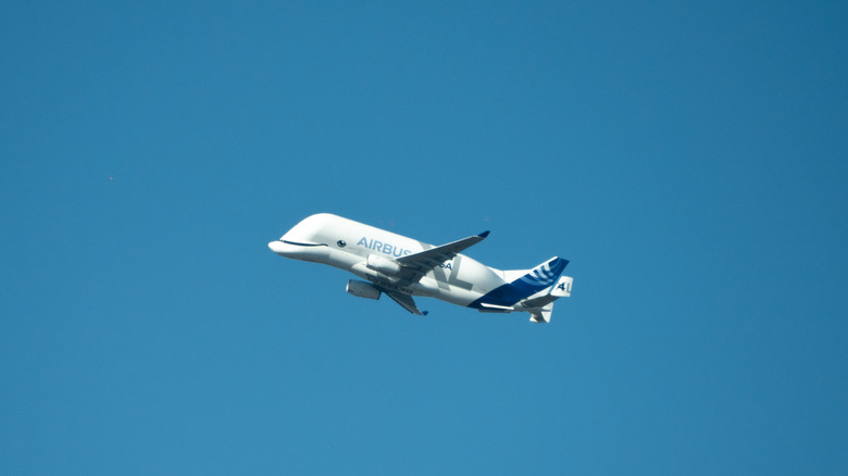 Beluga Cargo Aircraft flying high