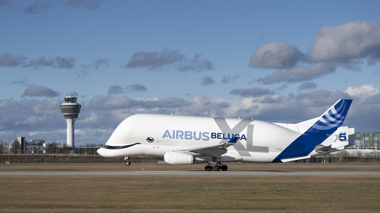 Beluga Aircraft on the runway of Munich airport