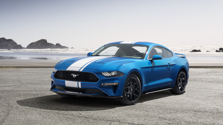 Blue/White 2019 Ford Mustang EcoBoost