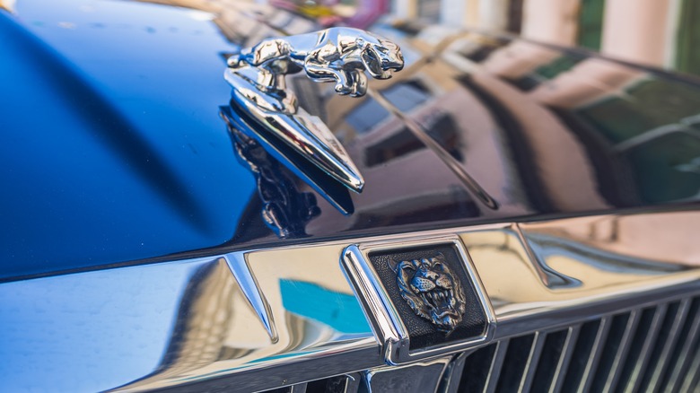 Close-up of the leaping cat hood ornament on a Jaguar XJ40