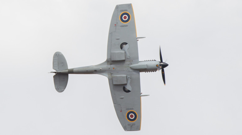 Spitfire with clipped wings in flight, viewed from underneath