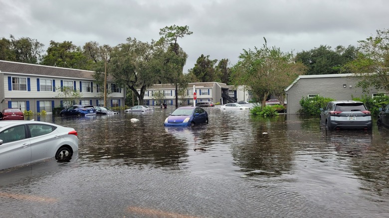 Aftermath of a hurricane