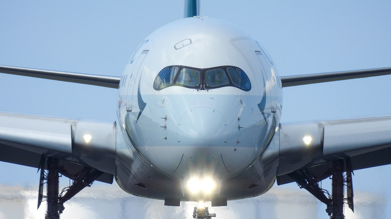 Front view of a grounded airplane