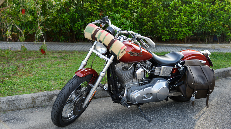 A Harley Davidson Motorcycle with a rolled-up blanket parked on the road.