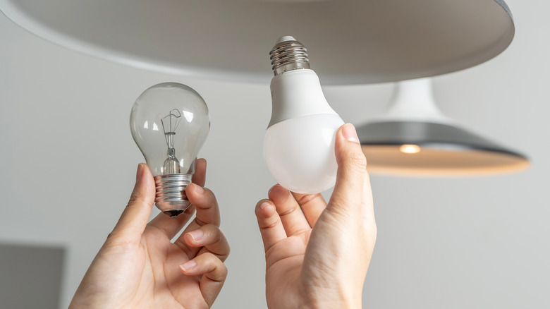 person holding an incandescent and an LED light bulb