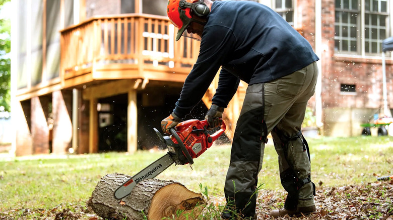 Person in safety gear using Husqvarna chainsaw