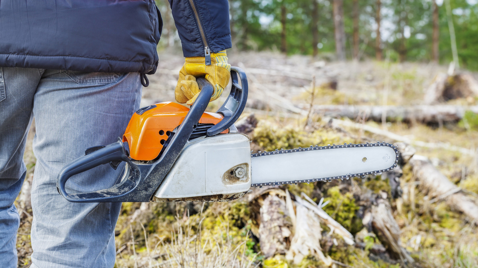 Why Do People Put Chainsaw Bars Upside Down?
