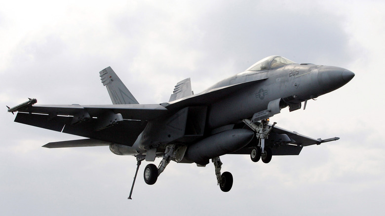 F/A-18 Super Hornet with its tail hook down
