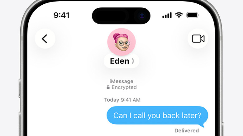 An iMessage chat showing the conversation is 'Encrypted'