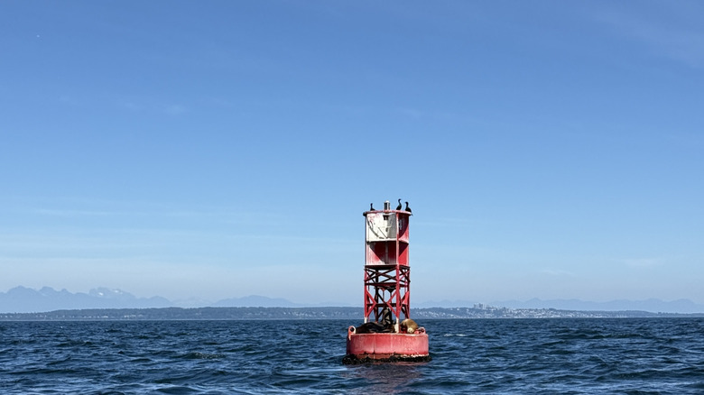 Red bell buoy on the water.