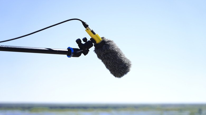 Microphone with wind muff on boom