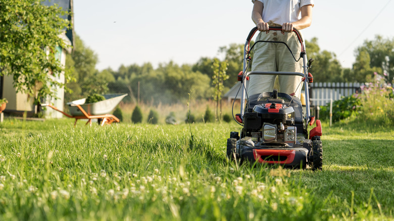 Person pushes lawn mower across yard