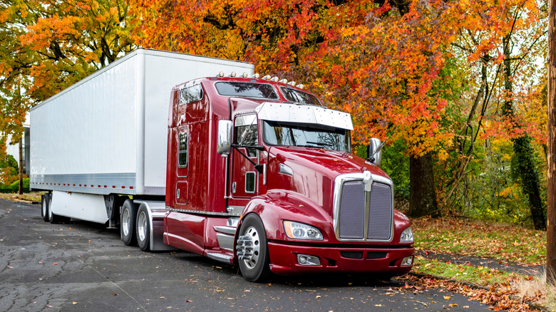 Red semi-truck parked on side of road