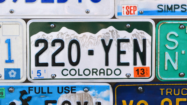Colorado license plate with other license plates next to it