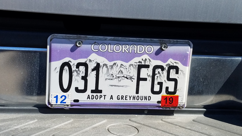 Colorado Greyhound adoption license plate