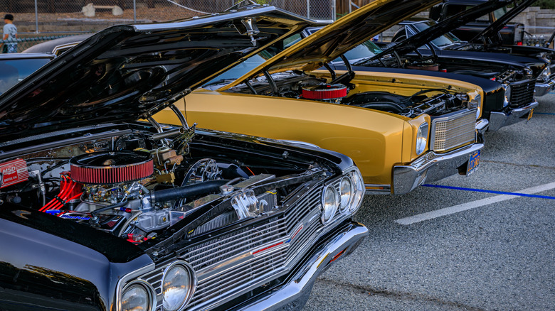 row of classic cars with hoods raised