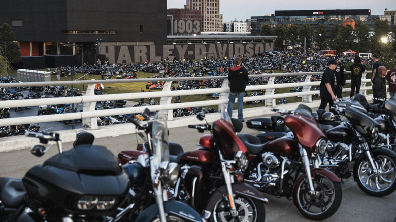 Motorbikes lined up for the Harley Davidson homecoming festival