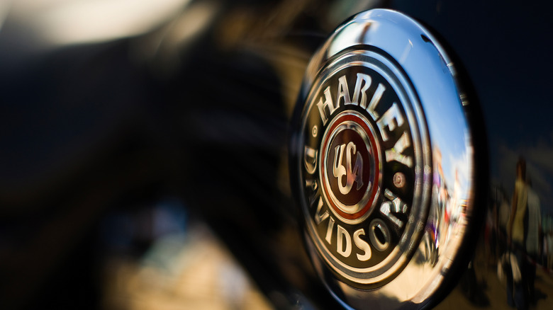 Close-up of Harley Davidson logo on motorcycle
