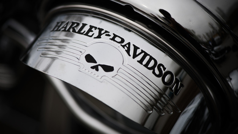 The Willie G logo on chrome with the words 