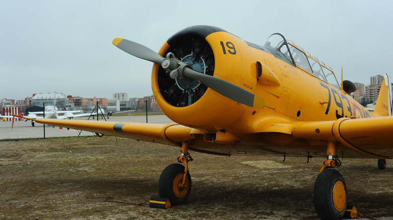 Front view of grounded T-6 aircraft