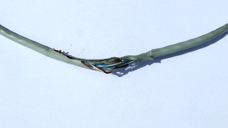 Damaged ethernet cable