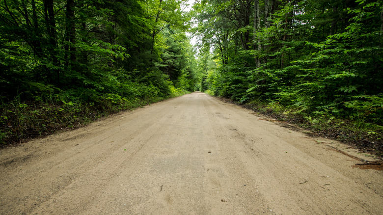 Dirt road through Hiawatha National Forest, MI, in the summer