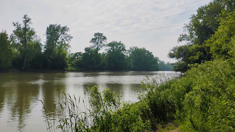 River bank in Michigan