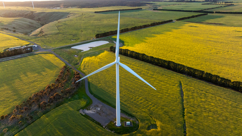 A white wind turbine in the middle of a grassy farmland