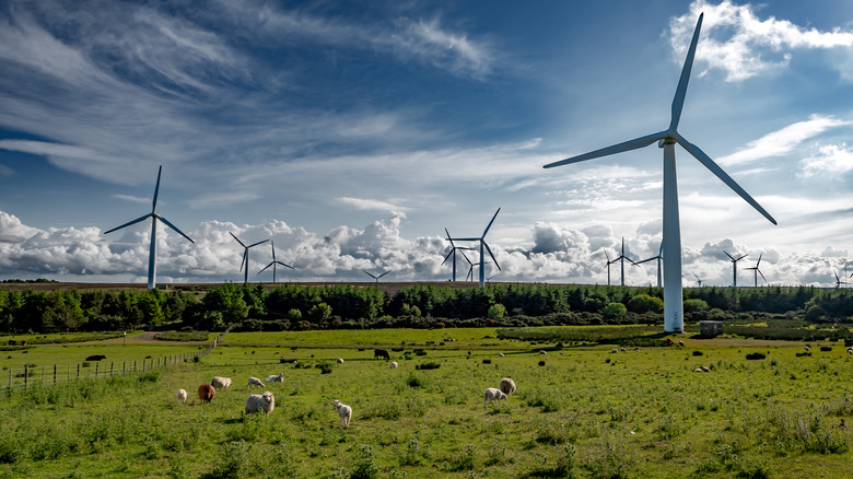 Several wind turbines on a farm with sheep and goats