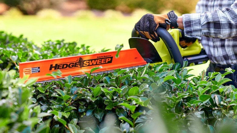 Closeup view of Ryobi hedge trimmer.