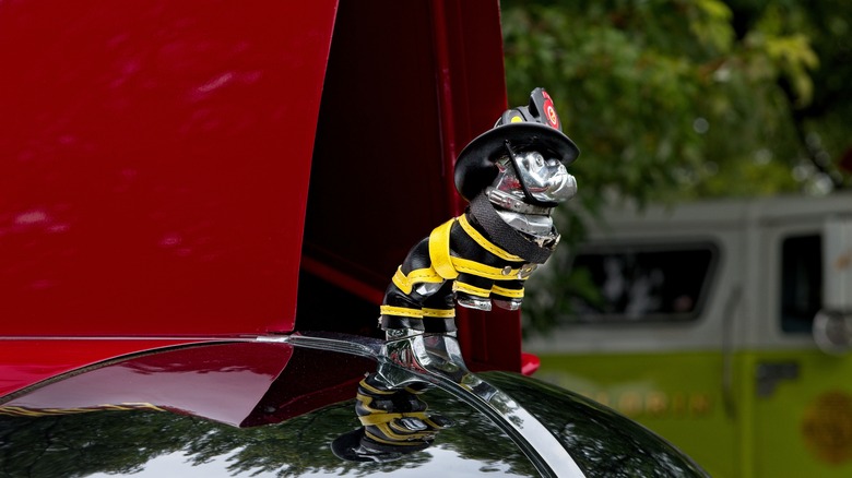 Mack bulldog with firefighter outfit