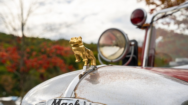 vintage gold Mack Bulldog