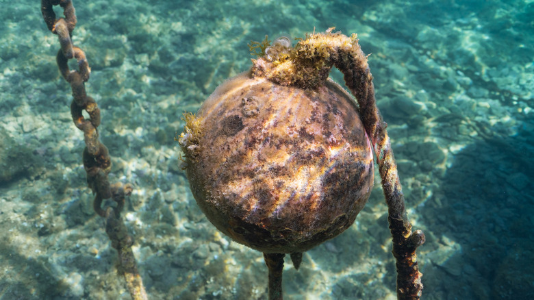 An old mooring buoy covered with marine growth and rust