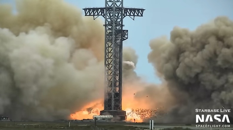 birds taking flight during test