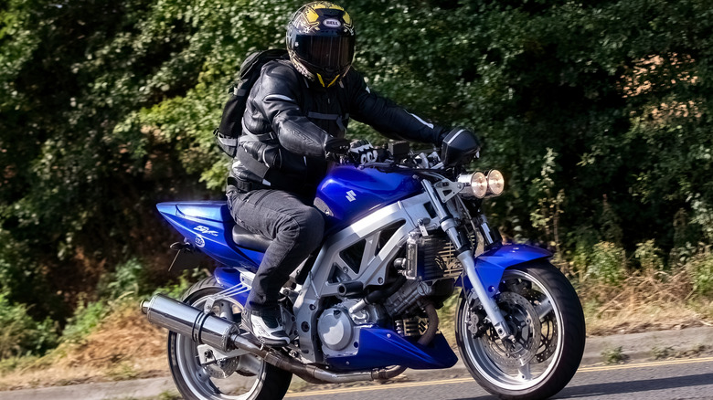 Man riding blue Suzuki SV650 on the road