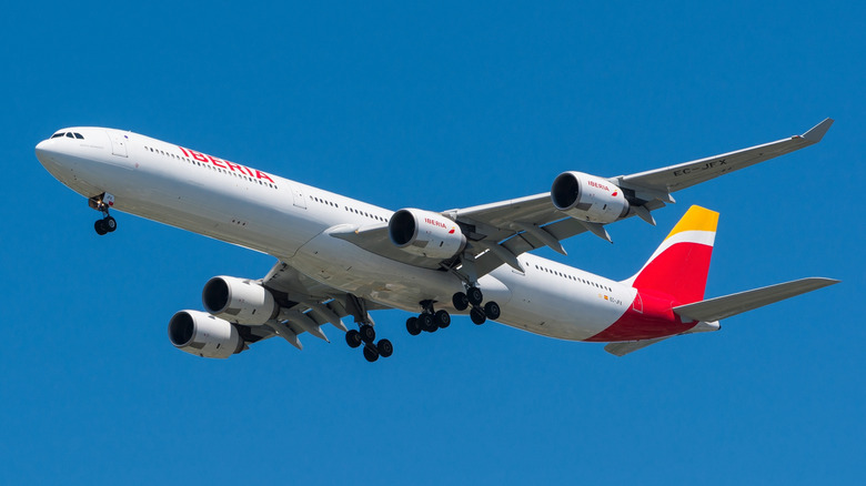 Iberia EC-JFX Airbus A340 is landing at JFK airport on a sunny day