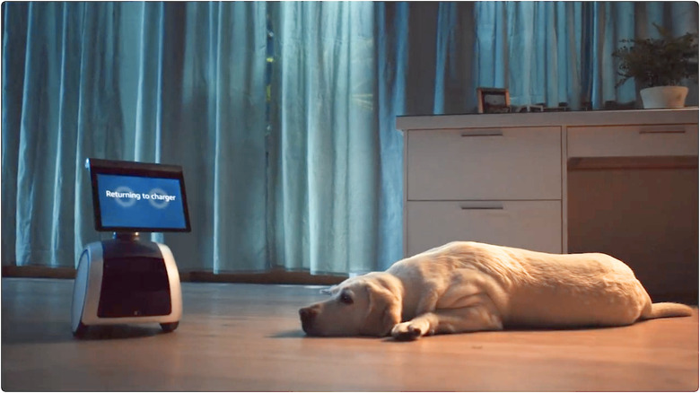 Amazon Astro displaying "Returning to charger" messaging navigating past a dog
