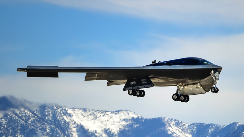Side view of a B-2 Spirit jet