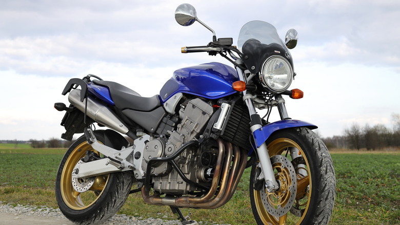 The Honda Hornet CB600F motorcycle