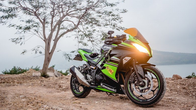 kawasaki ninja motorcycle tree thailand