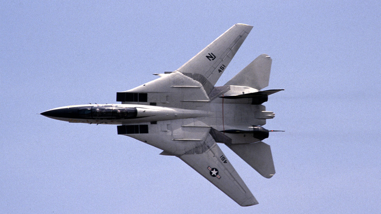 F-14 Tomcat in vertical flight