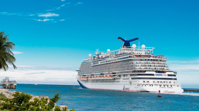 Carnival Horizon cruise ship sailing away from view