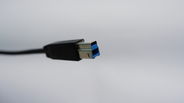 usb type-b connector at the end of a cable against a grey background