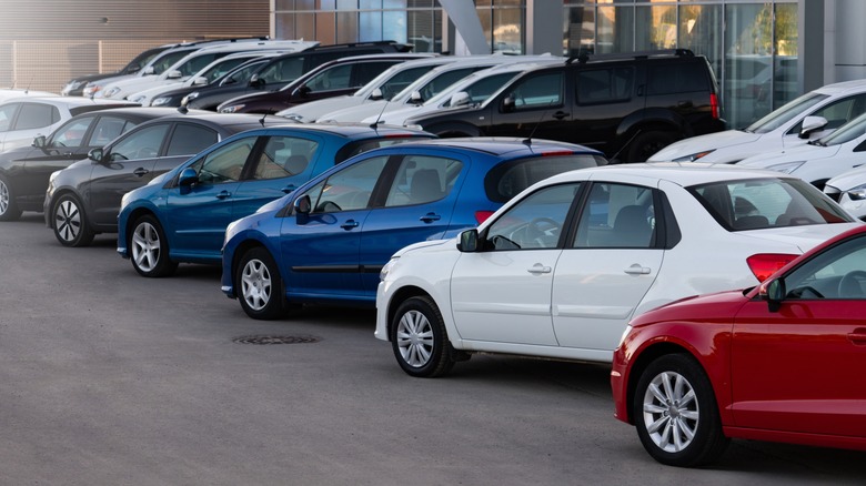 Used cars lined in a row for sale