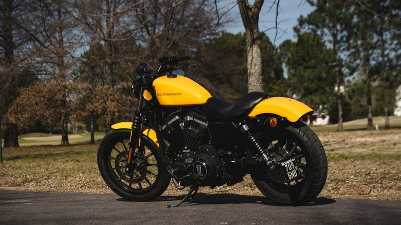 A yellow Harley-Davidson Iron 883 beside a park