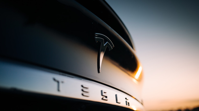 Tesla Model X rear end badge