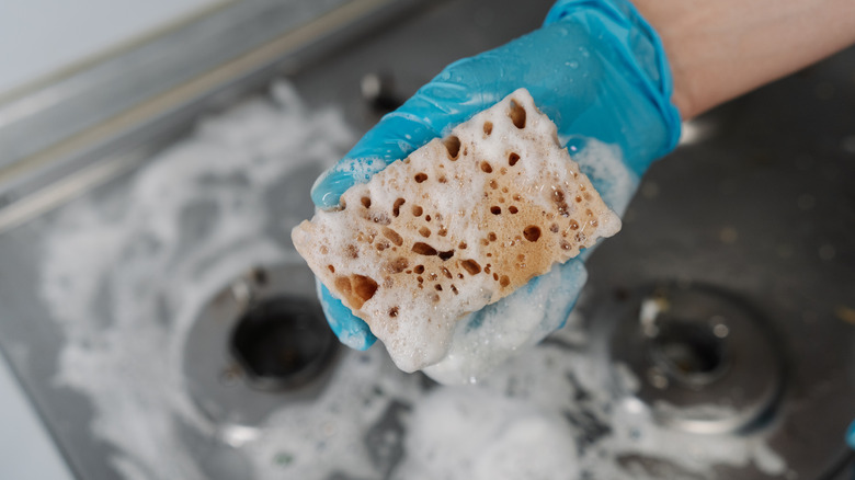 Person holding a sponge