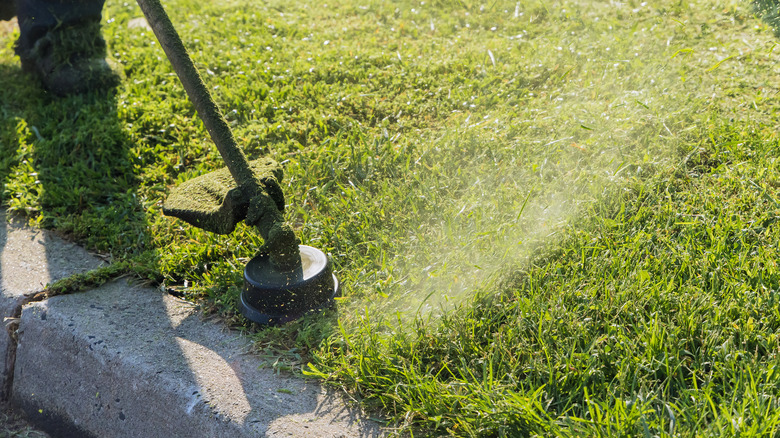 A String Trimmer Cutting Grass