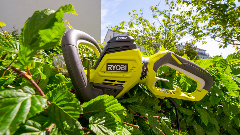 a ryobi hedge trimmer