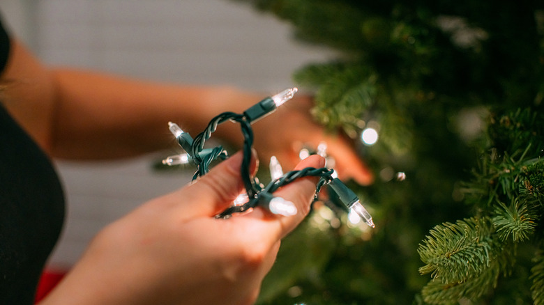 Close up of a woman's hand putting white lights on a Christmas tree